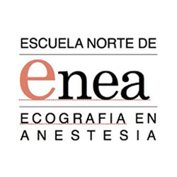 El Dr. Haro es el director de Enea - Escuela Norte de Ecografía en Anestesia